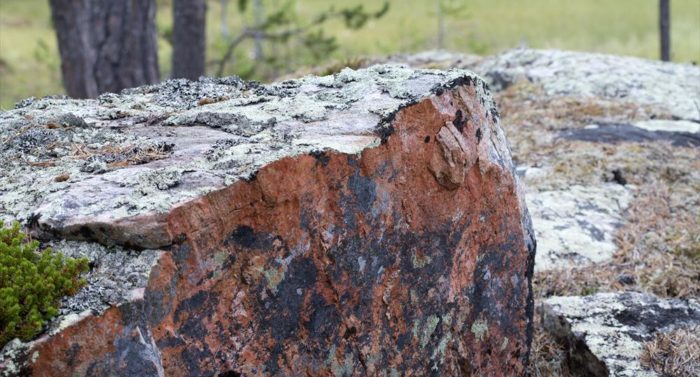 Granite boulders in a forest.