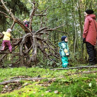 Small children climb on the roots of a fallen tree, with an adult watching nearby.