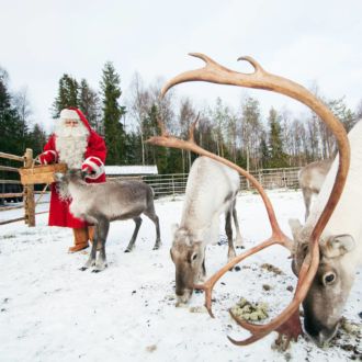 Un renne doté d’une large ramure broute du lichen à travers le sol enneigé tandis que le Père Noël se tient à l’arrière-plan, entouré de deux autres rennes.
